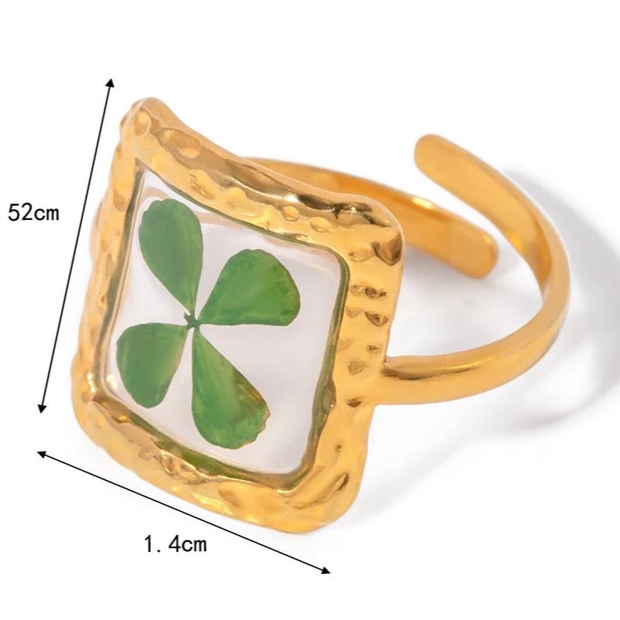 Μεγάλο δαχτυλίδι λουλούδι σε διαφανές πλαίσιο